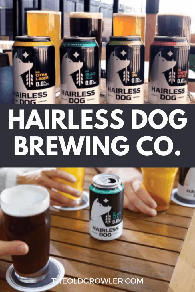All about Hairless Dog non alcoholic beer. Find out from the founders about this beverage