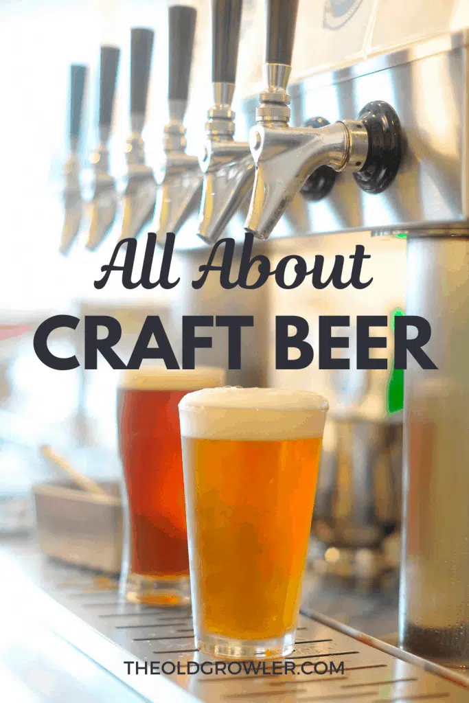 Craft beer has taken the beer world by storm and gained tremendous popularity. Find out all about it here