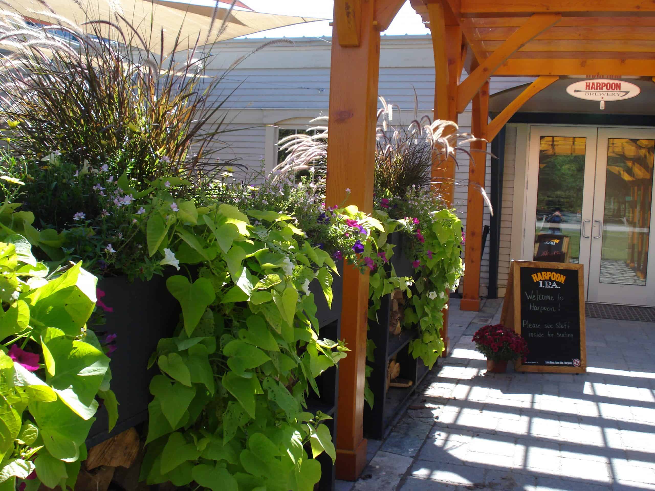 The Old Growler chats with Steve Miller at The Harpoon Brewery in